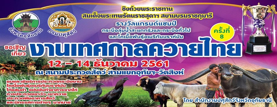 ขอเชิญเที่ยว งานเทศกาลควายไทย ครั้งที่ 8 ระหว่างวันที่ 12-14 ธันวาคม 2561