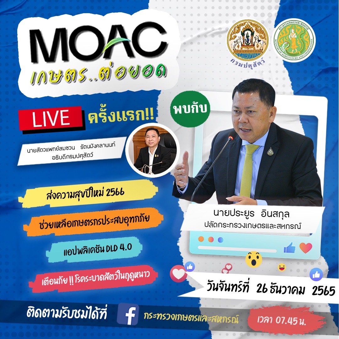 25651226 0745moaclive