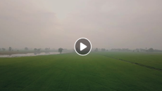 วันนี้ "ดาริกา" กับ "หมอหยก" จะพาคุณไปสัมผัสชีวิตจริงของปศุสัตว์อำเภอที่อยู่ดูแลเคียงข้างเกษตรกรและผู้บริโภคตลอดมา  แล้วคุณจะรู้ว่า...กรมปศุสัตว์ ใกล้ชิดคุณมากกว่าที่คิด #DLD #ThailandLivestockExpo2019