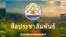 สื่อประชาสัมพันธ์ สำนักพัฒนาอาหารสัตว์ 