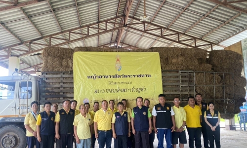 กรมปศุสัตว์ "มอบหญ้าอาหารสัตว์พระราชทานให้แก่เกษตรกรผู้ประสบอุทกภัยในพื้นที่บ้านดอนสบเปือ ตำบลเปือ อำเภอเชียงกลาง จังหวัดน่าน”