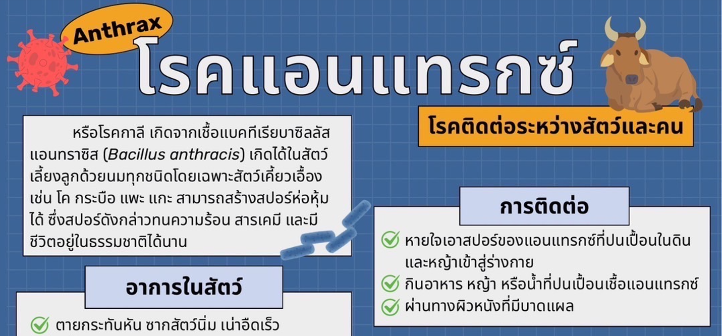 ประชาสัมพันธ์แผนเผชิญเหตุโรคแอนแทรกซ์ สำหรับเจ้าหน้าที่ 
