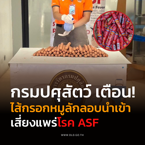 กรมปศุสัตว์ เตือน! ไส้กรอกหมูลักลอบนำเข้า เสี่ยงแพร่โรค ASF