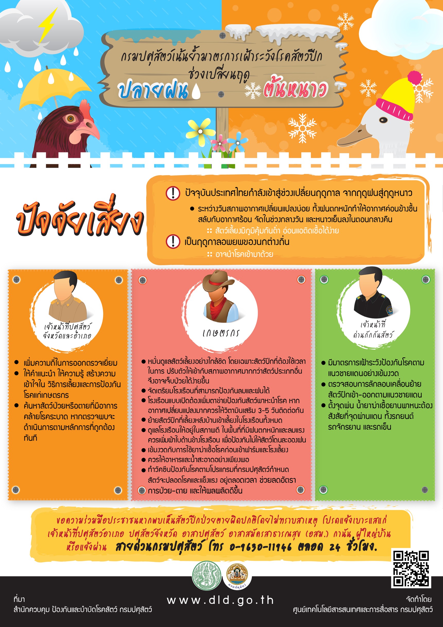 กรมปศุสัตว์เน้นย้ำมาตรการเฝ้าระวังโรคสัตว์ปีก ช่วงเปลี่ยนฤดูปลายฝนต้นหนาว