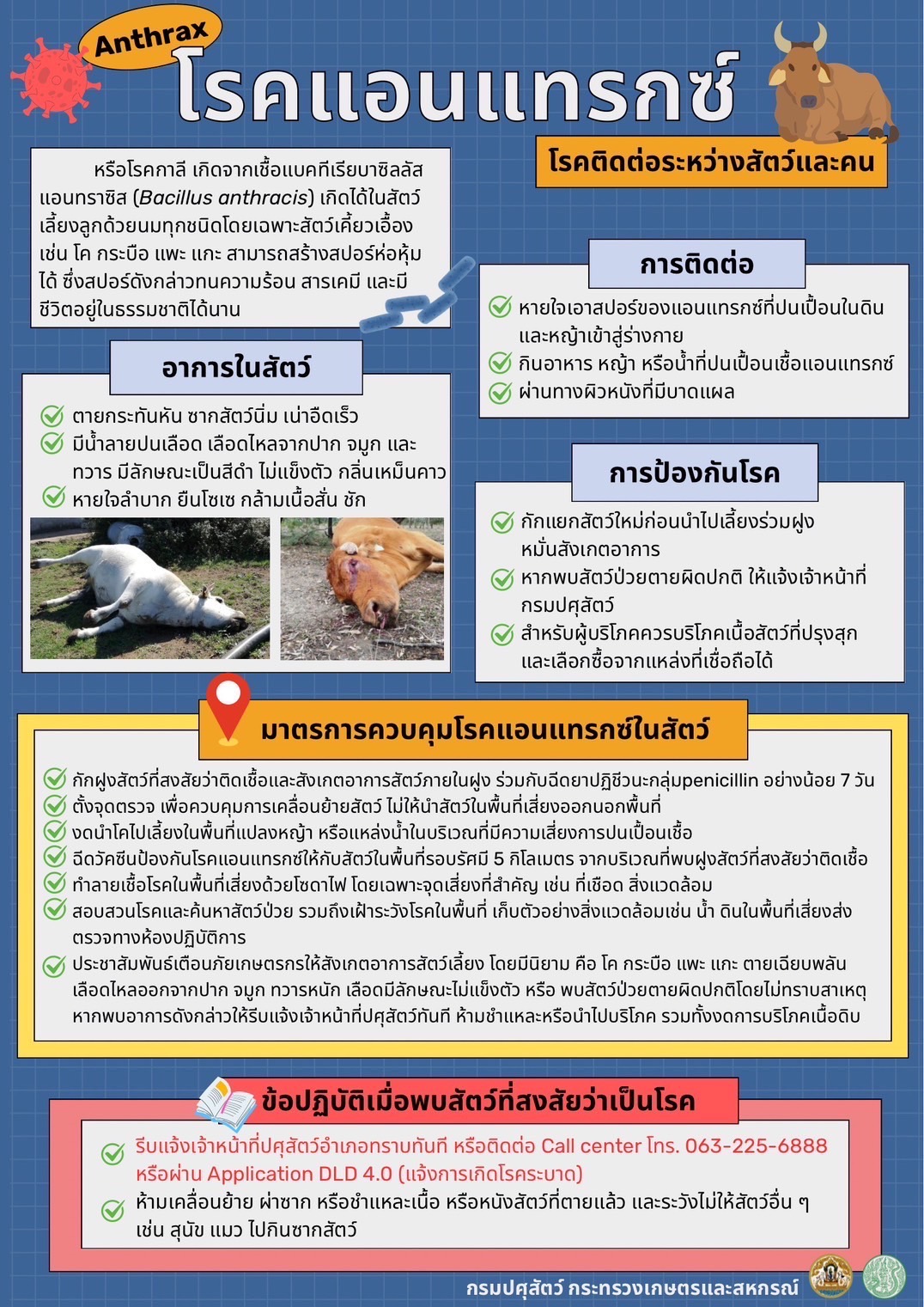 แผนเผชิญเหตุโรคแอนแทรกซ์ สำหรับเจ้าหน้าที่