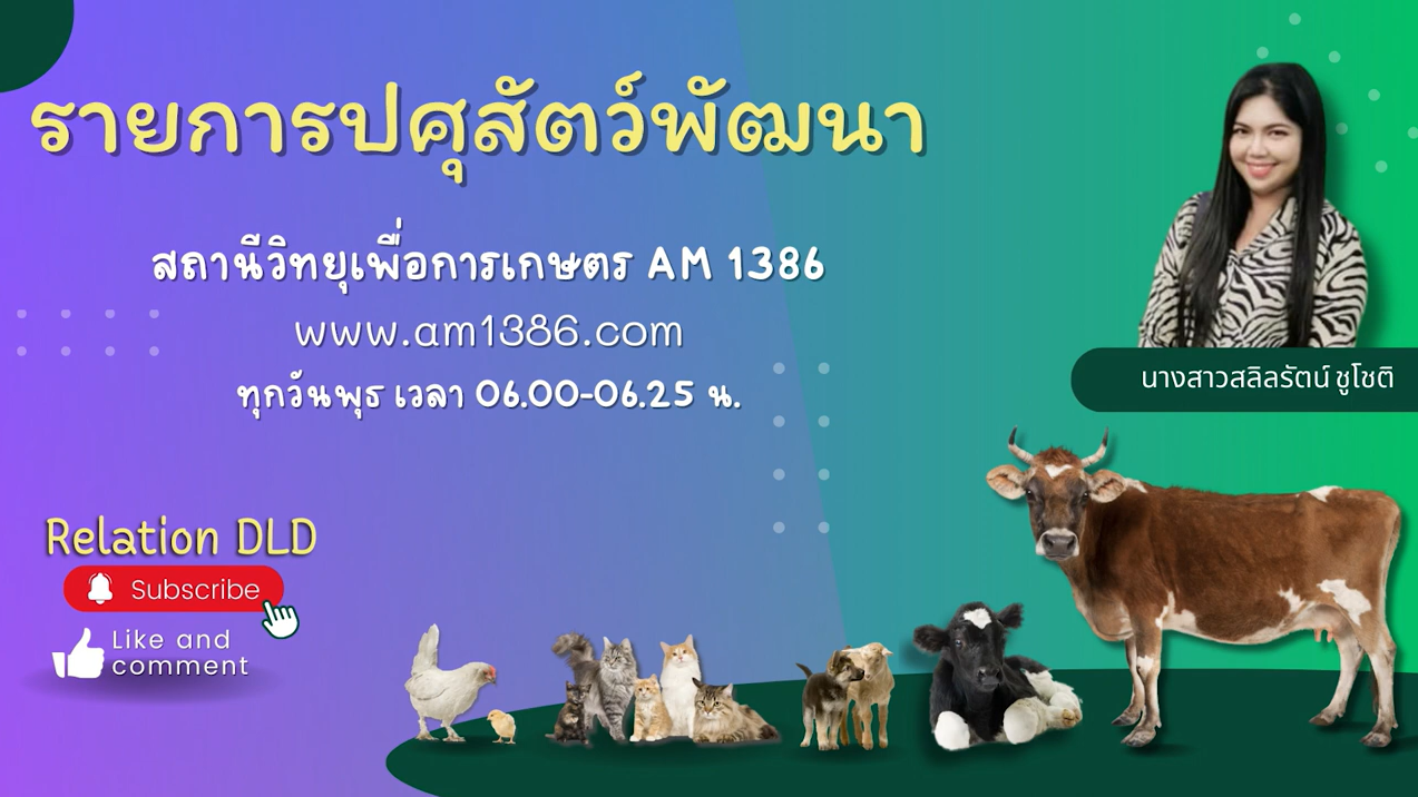 รายการ "ปศุสัตว์พัฒนา" ออกอากาศวันพุธที่ 5 กรกฎาคม 2566 / EP 40 