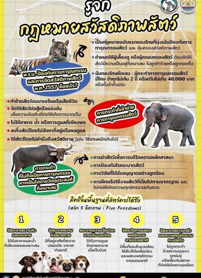 รู้จักกฎหมายสวัสดิภาพสัตว์