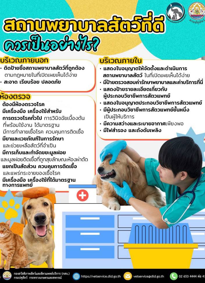 สถานพยาบาลสัตว์ที่ดี ควรเป็นอย่างไร ??